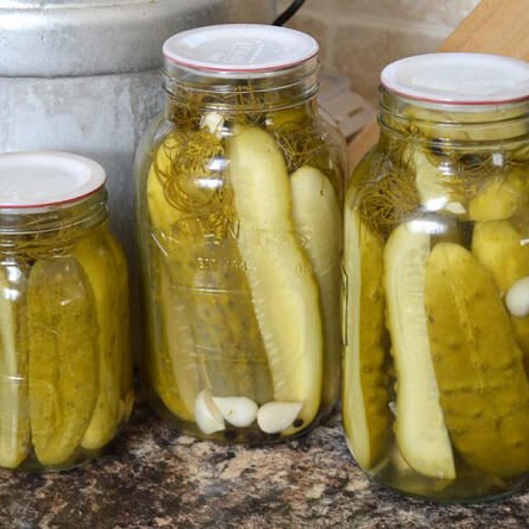  Pickles